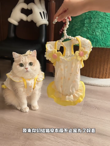 váy đầm cao cấp cánh tiên bồng bềnh tiểu thư dành cho chó mèo - T3 PETS SHOP