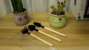 Bộ dụng cụ làm vườn trồng cây mini