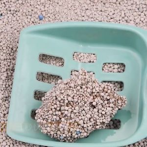 Pasir Kucing Murah Premium Cat Litter Sand 5KG - Tandas Kucing Cat Toilet Bentonite Cat Litter 猫砂 - LILO