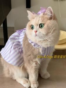 ชุดเดรสลายทางแขนสั้นสำหรับแมวและสุนัข ชุดราตรีผ้าโพลีเอสเตอร์ทรงหลวมสำหรับฤดูใบไม้ผลิ ฤดูร้อน ฤดูใบไม้ร่วง ฤดูหนาว