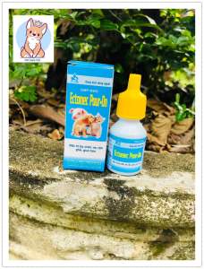 Nhỏ ve cho chó mèo Ectomec 10ml
