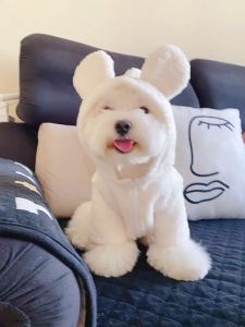 MADDIE เสื้อผ้าหมีน่ารักสำหรับสุนัขและแมว เสื้อกั๊กที่อบอุ่นในฤดูใบไม้ร่วงและฤดูหนาว เครื่องแต่งกายการเปลี่ยนแปลงหูหมี HHMPS00981