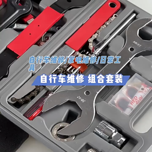 BABEDUO Professional Bicycle tool kit Repair Tools Box With Ratchet Wrench Sockets Set Screwdriver Set & Allen Hex Keys etc.44 PCS