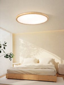 DGY | Ultra Thin Full Spectrum Eye Protection Ceiling Light 2.8CM