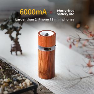 Portable Temperature Control Aromatherapy Diffuser