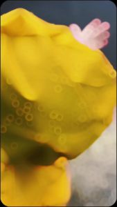 READY BANDUNG JAS HUJAN ANAK / JAS HUJAN JUMPSUIT ANAK / JAS HUJAN APD ANAK Jas Hujan Hazmat Anak - APD Bayi Batita Balita Jumper Raincoat Jas hujan anak Raincoat Jas Hujan Anak Mustifungsi Usia 1-6 Tahun Model Jumpsuit APD Hazmat Bahan PVC Berkualitas