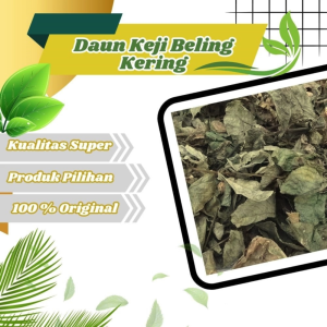 Jamu Herbal Tradisional Daun Keji Beling Untuk membantu memecah Batu Ginjal