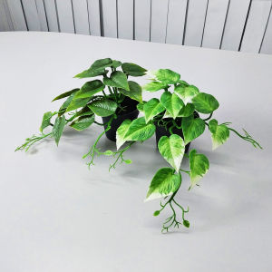 Azgalery PBP115 / Tanaman Hias Pot Bunga Daun Julur Rambat Plastik Artificial Philodendron Cordatum Dekorasi Flower Ornamen Sepaket Hiasan Pajangan Cantik Sudut Ruangan Rumah Buatan / COD