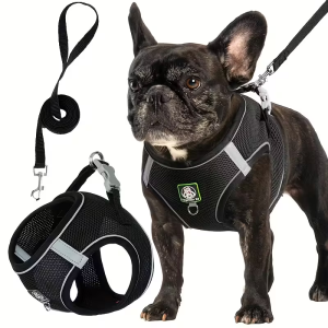 [Dog Walking Harness] 601 Small And Medium Dog Walking Harness + Leash Set 2pcs Without Battery