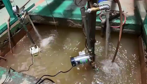 Water Booster Pump 100W/150W/260W Automatic Home Shower Washing Machine Water Booste Pump 220V Small Home Electric Water pump High power Jet Booster Pump