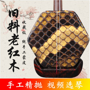 Famous Brand Professional Erhu Handmade Skin Old Mahogany Erhu Musical Instrument Beginner Grade Erhu Factory Direct Sales
