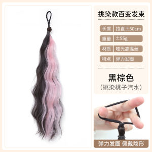 Colorful Highlighted Hair Bundles Fake Braid Hair Dyeing Hair Extension Tool Box Punch Braid Tail Boost Hair Quantity Fake Hair