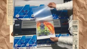 SJPACK พลาสติกเคลือบบัตร ขนาด A4 216x306mm บรรจุ 100 แผ่น หนา 80mic ฟิล์มการ์ดป้องกันข้อมูลรูปถ่ายของไฟล์