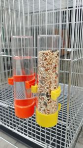 Automatic water feeder and feeder
