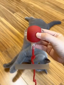 Mainan Anjing Kucing Bola Pet Interaksi CerdasBuat Bola Kucing Smart Rotating Ball For Pet Automatic