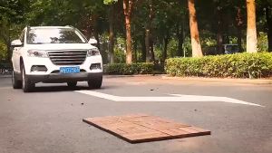 【COD】30x30cm Interlocking Flooring Deck Tiles Wood Indoor Outdoor Garden DIY wood plastic composite wood floor tile splicing decoration Anticorrosive wood flooring