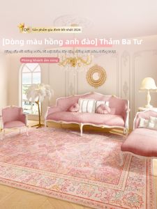 ZHIBAIJIA | Vintage Pink Princess Style Carpet Washable