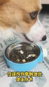 200pcs Pet Vitamin Supplement Dog Supplement Cat Supplement Multivitamin Probiotic Pet Calcium Tablets