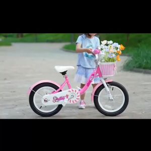 CHIPMUNK CM12-2 MM 12/16 INCH KIDS BIKES