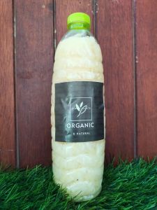 Bamboo Pickle  (ดองไม้ไผ่)