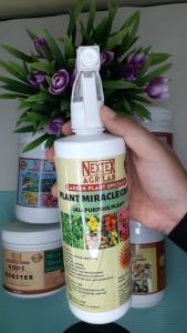 Plant Miracle Grow Fertilizer (All Purpose Plant)