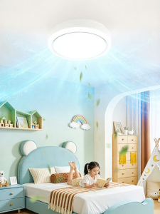 EYESPRO | Leafless Fan and Light New 2026