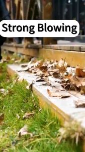 6-in-1 Cordless Dust Extractors & 1300W Cordless Electric Blower: A Comprehensive Guide