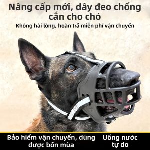 TAOKOU | Mõm Chó Ngăn Sủa & Ngặn Gặm