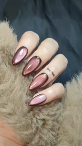 Lizzy Nail AL006 – Nailbox Móng Úp Mắt Mèo Đỏ Rượu Vang – Set 10 Móng Giả Wine Red Cat Eye Press On Nails Almond/Medium Stiletto