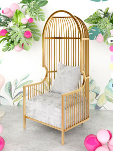 Bean Bag Casual Scandinavian Single-Seat Sofa Chair Accessible Luxury Designer Normcore Chair Internet Celebrity Clothing Store Bird Cage Sofa Chair