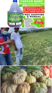 Canaan Organic All-Purpose Liquid Fertilizer: Enhancing Plant Growth & Health