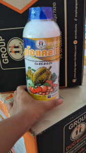 ดูโอ แคลโบ (แคลเซียมโบรอน) ช่วยขยายผล เพิ่มน้ำหนัก ลดการหลุดร่วง