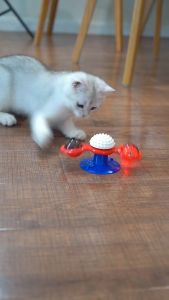 Windmill Cat Toy with Catnip Interactive Cat Spinning Toys with Suction Cup Kitten Turntable Massage Scratching Toy for Indoor Cats