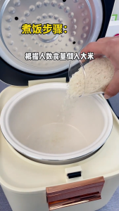 SG【ReadyStock】Zemkon Electric Rice Cooker CoolExterior TimerProgram SteamRiceCombo EasyMaintain DormEssential