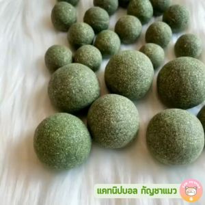 แคทนิปบอล กัญชาแมว ออร์แกนิค สมุนไพรแมวเคลิ้ม อุปกรณ์สมุนไพร B017