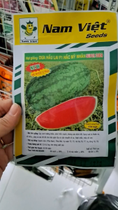 (Gói 550 hạt) Hạt Giống Dưa Hấu Lai F1 Hắc Mỹ Nhân Super 389 NAM VIỆT