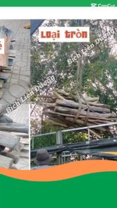 COMBO 2KG CỦI KHÔ LOẠI TRÒN KHÔNG CHẺ SẴN