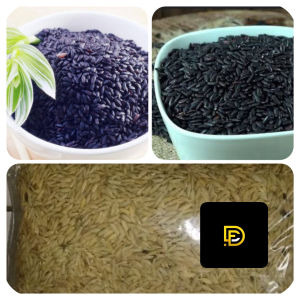 Jual benih padi ketan hitam super-az