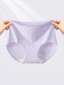 COSMO LADY | Antibacterial High Waist Cotton Panties
