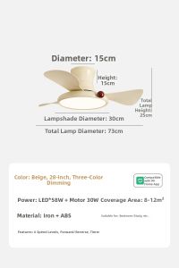 NSWR | Eye-protecting Silent Ceiling Fan Light