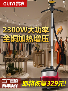 High Power Handheld Garment Steamer for Home And Commercial Use Large Steam Vertical Ironing Machine for Clothing Stores