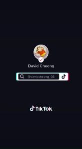 Toyota RAV4 ESTIMA ACR50 ALPHARD 04 Tail Rear Bumper Lights Lamp LED Reflector Signal Brake Car Accessories