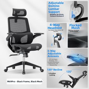 Ergonomic Home Office Chair