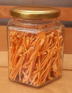 [HCM]Đông trùng hạ thảo sấy thăng hoa hủ thủy tinh 10g - quà tặng cao cấp