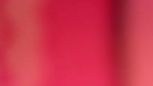 Paket Isi 12 Pcs Celana Dalam Anak Perempuan Motif Garis Karakter Kartun Lucu Usia 1-8 Tahun