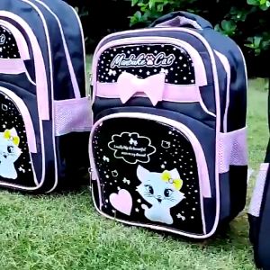 Tas ransel anak perempuan PAUD SD TK terbaru 2024 karakter CAT MERRY VIRAL termurah bisa COD