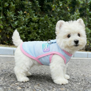 Petone dOrage | Ice Silk Breathable Dog Vest Anti-Shedding