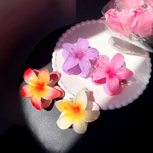 Kẹp tóc lớn hình hoa sứ nhiều màu sắc phong cách Hàn Quốc cho nữ - MInh Thư VPP