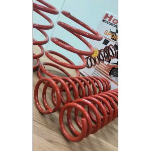 BMW E39 (1995) Lowered Sport Springs (Hot Bits - Made in Germany)