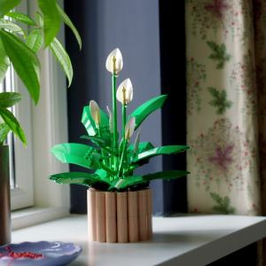 LEGO Botanicals 11504 Peace Lily (474 Pieces)
